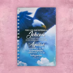 Cuaderno Grande - Águila azul