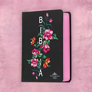 BIBLIA DE PROMESA 2