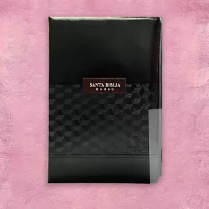 Biblia Negra
