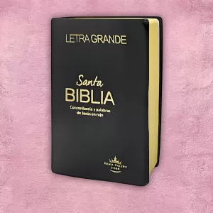 Biblia - Negra c/ tapa flexible