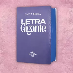 Biblia letra gigante - Violeta
