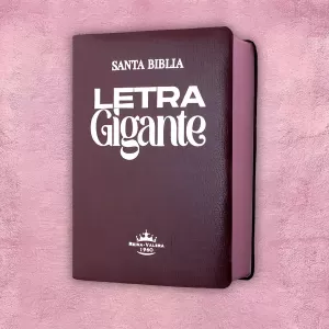 Biblia letra gigante - Guinda 