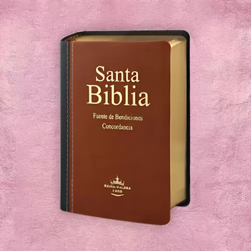 BIBLIA DE PROMESA 1