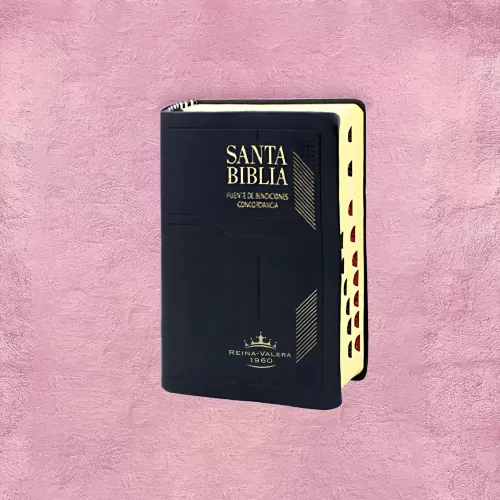 BIBLIA DE PROMESA 4